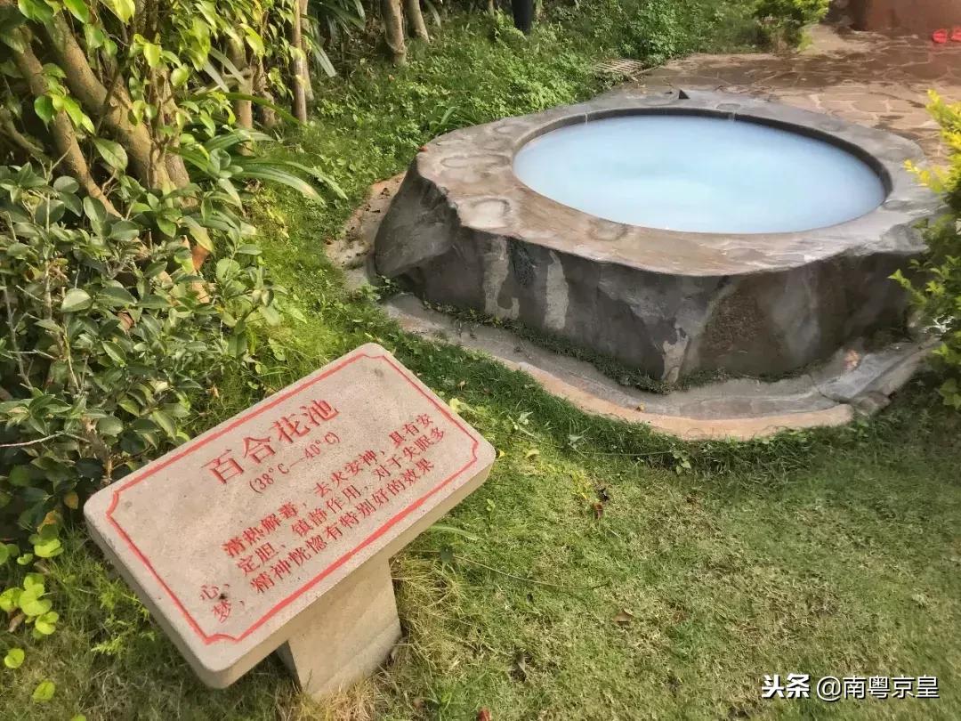 温泉季,到冬无严寒的湛江雷州樟树湾五星温泉度假村二日游