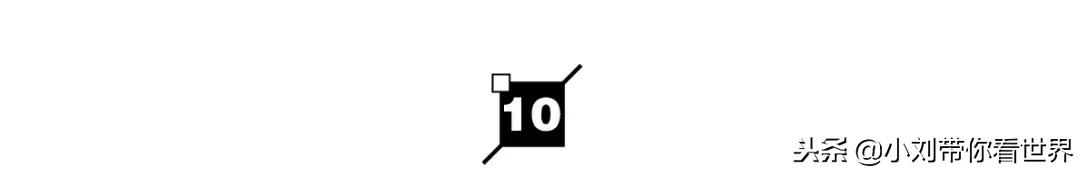 十大网红养生食品,2020十大网红食物