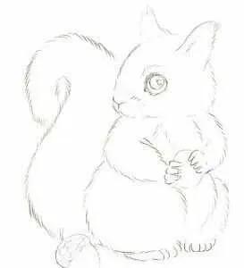 彩铅可爱的小松鼠,彩铅画可爱动物飞鼠