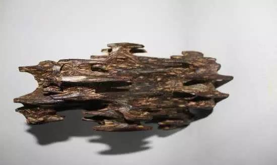 这种烂木头1克价值5万,越南农民种它年赚几十亿越盾