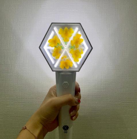 exo爱丽棒最新一代是几代,爱丽棒三代exo