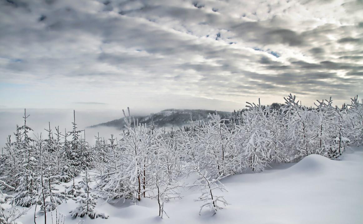 白手起家建立市值1500亿女鞋王国，拥2万家店，却在83岁放弃心血