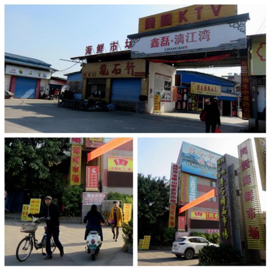 龙胜凤鸡竟“飞”入海鲜市场，“高规格”背后大有文章