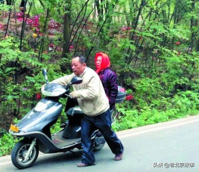 26张活久见的图片看完又涨知识了,42张照片大图