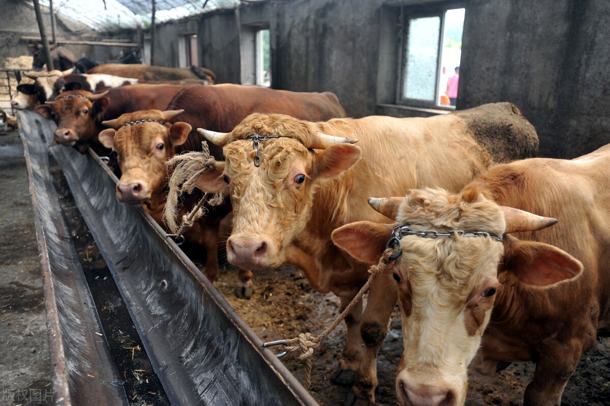 2021襄阳重大项目名单,襄阳市2021年第四季度重大项目