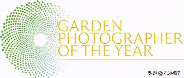 野花的风景,2020国际风景摄影大赛获奖作品