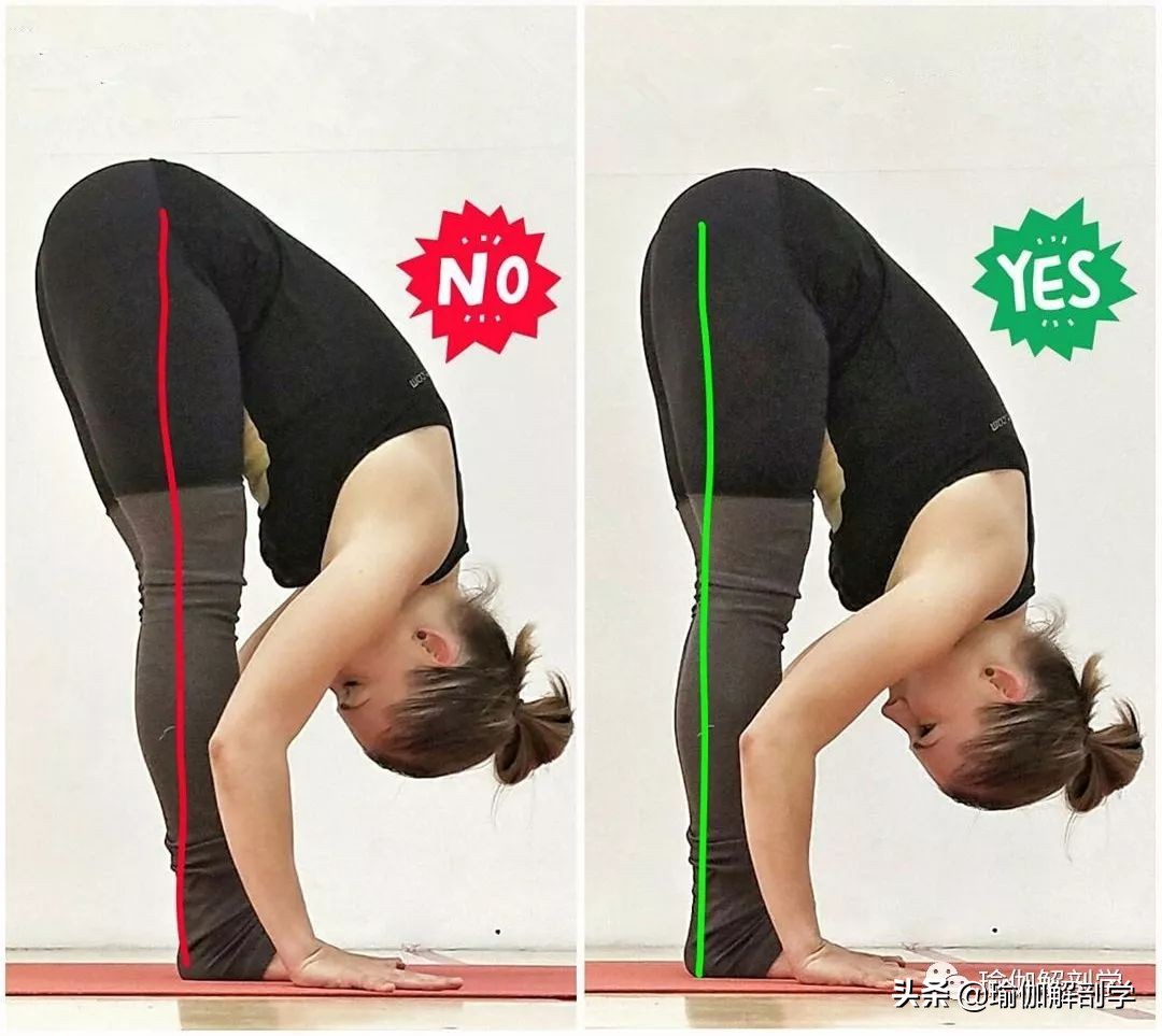 10个最新瑜伽体式正误对比图,瑜伽最容易错的正误对比图