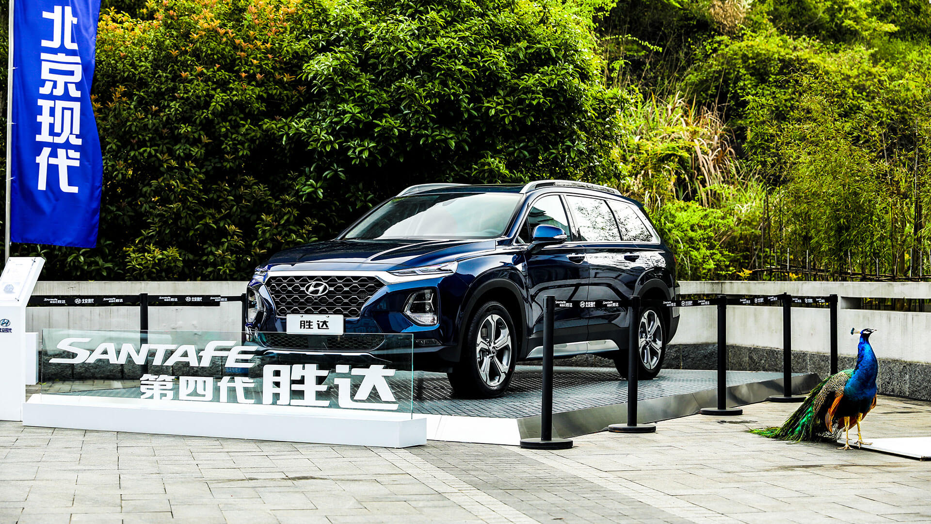 购车内幕套路深,买车务实