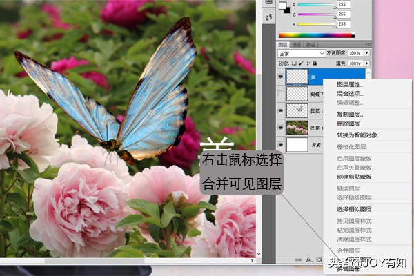 ps基础教程新手入门如何合并图层,ps图层向下合并和图层合并的区别