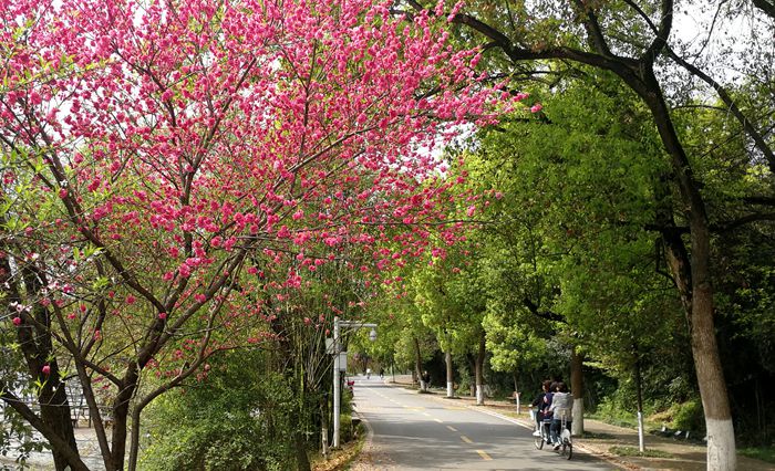 美丽的南湖公园夜景,南湖风景区真的太美了