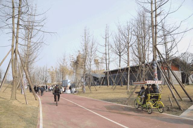 宛若美人卧成都,江家艺苑了解一下