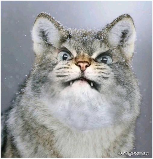 不开心的时候就出去逛逛街,不开心的时候就去逛逛