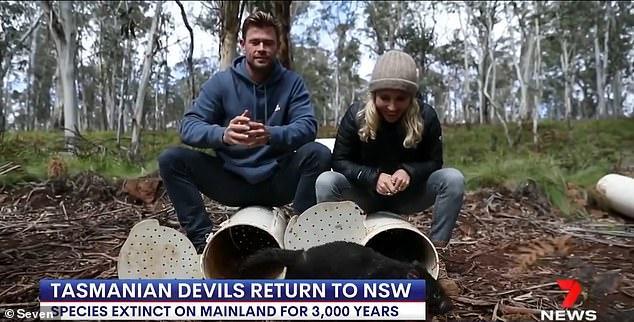 37岁雷神近照,雷神超级英雄视频