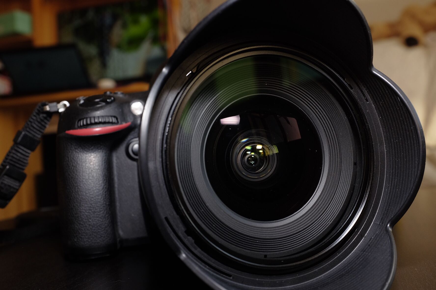 冷门照相机,冷门相机经典镜头