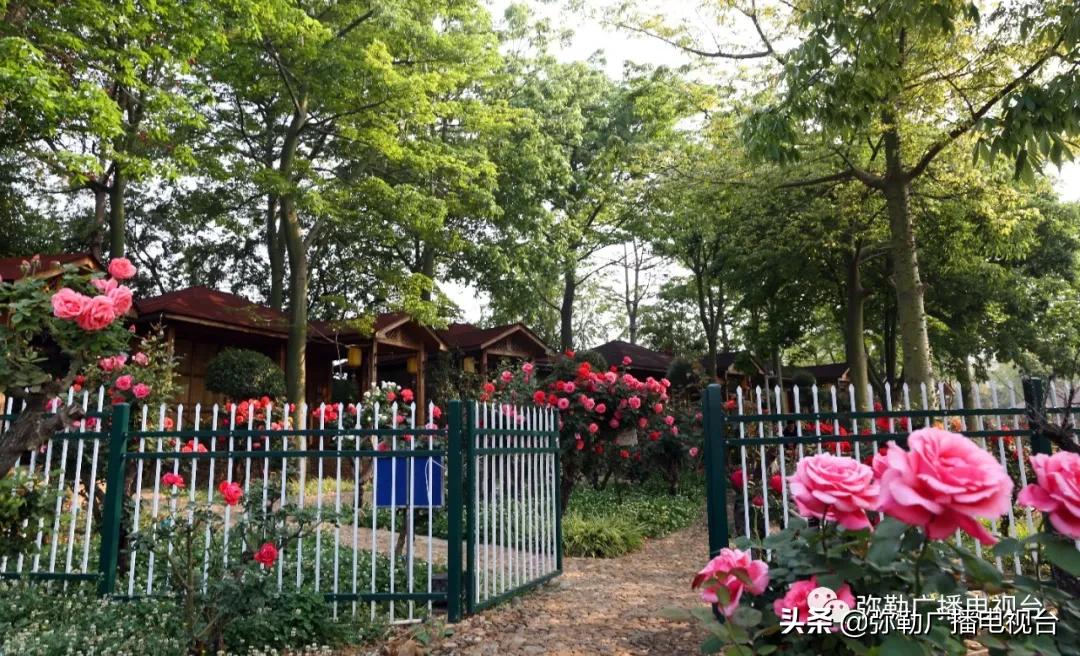 弥勒湖泉水乐园,弥勒水上乐园温泉