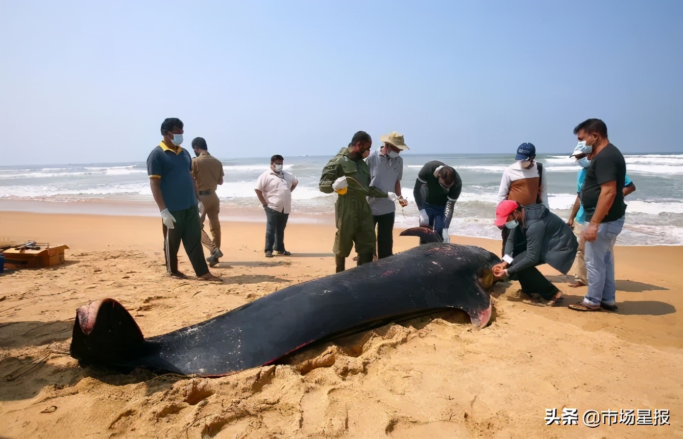 全国扫黑办特派督导组进驻安徽铜陵丨早读安徽