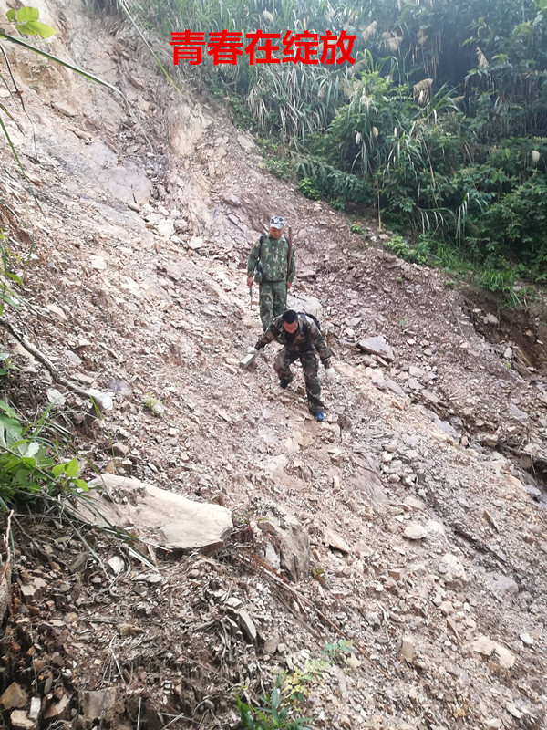 林业礼赞——世界最后一滴水将是人类的眼泪吗