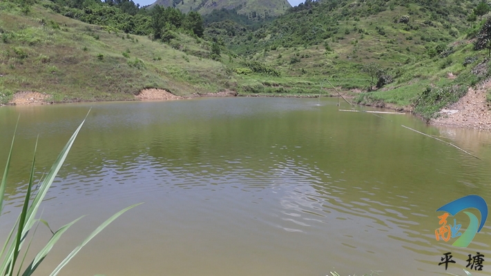 【致富带头人】陆龙江：创业在家乡不用去远方