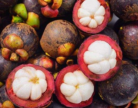 挑选山竹的小秘诀,有没有什么好的挑选山竹的方法