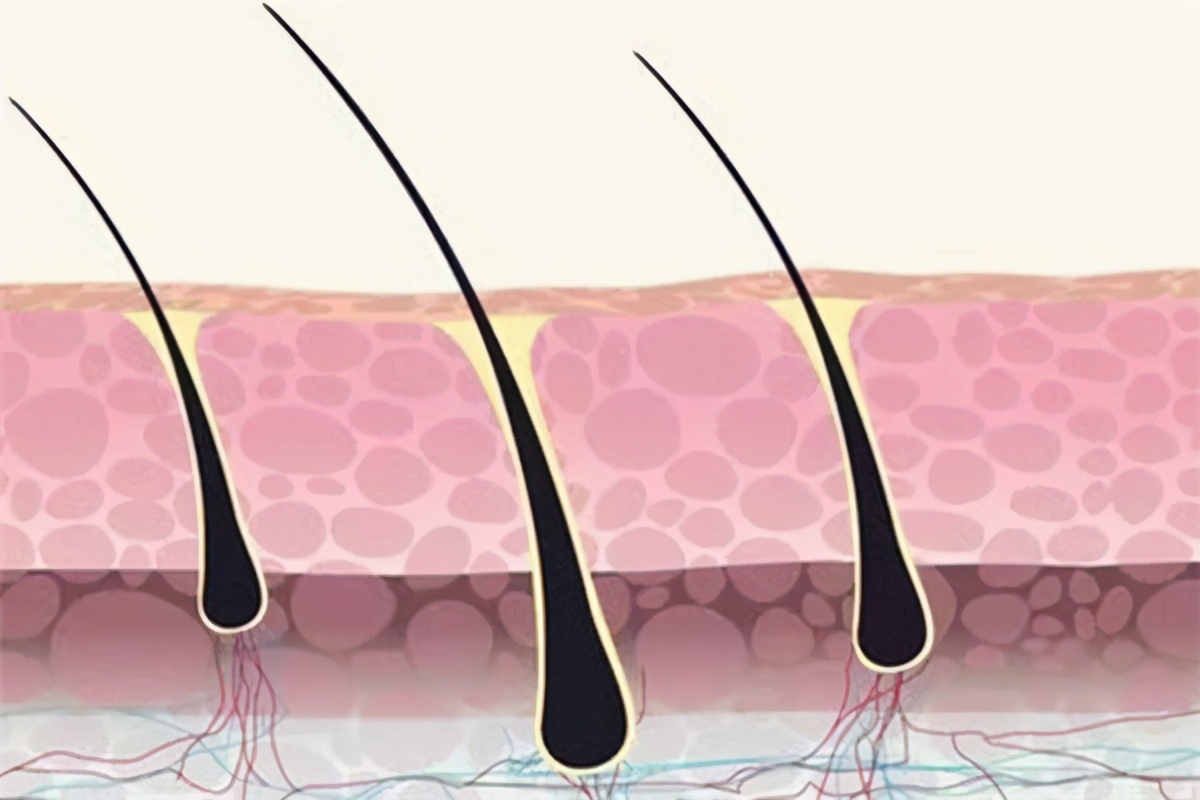 鼻毛太长会有影响吗,鼻毛太长可以拔掉么
