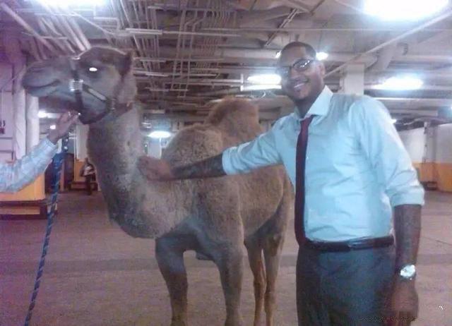 nba趣味比赛,nba球星的奇葩爱好