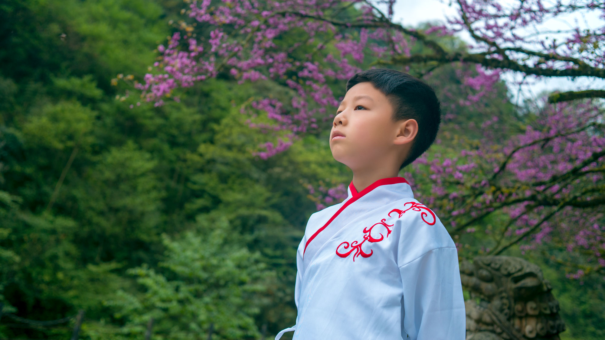 青城后山的民宿哪个性价比高,青城山必住的亲子民宿