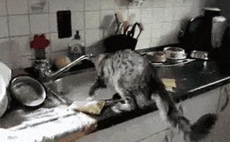 只吃饭不想洗碗？moyori魔力清洁豆豆擦，油腻腻的锅碗盆一抹即净