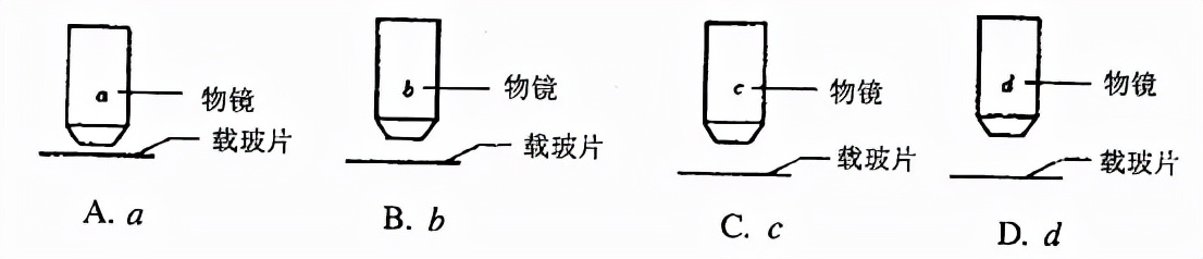 初中显微镜的使用方法和注意事项,显微镜使用的七大步骤
