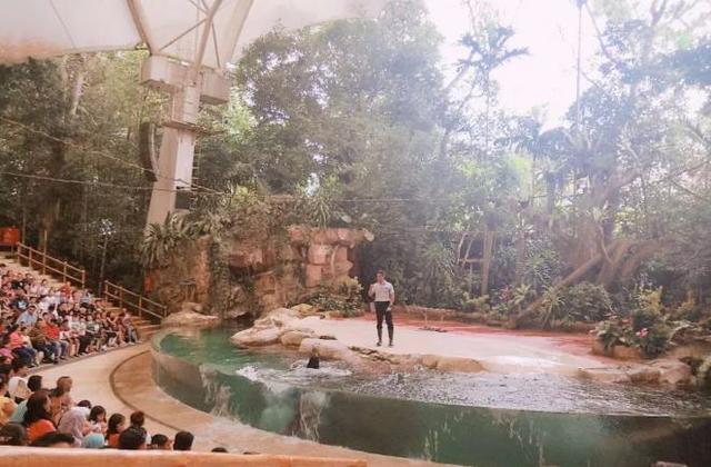 99%辣妈必选的新加坡亲子游,新加坡亲子游攻略自由行订票