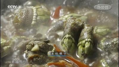 来自地狱的美食藤壶，到底有多可怕？看鲸鱼被折磨的样子就懂了