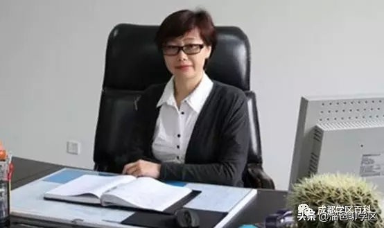 大源片区小学排名,高新区大源片区学校排名