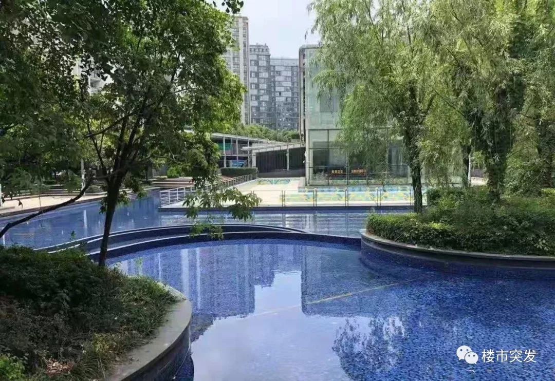 明强小学皇都花园,七宝皇都花园三期地址