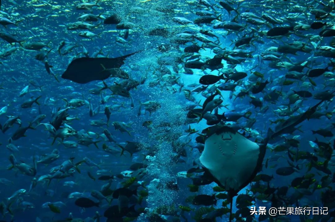 第一次到海南三亚怎么样,第二次去海南旅游