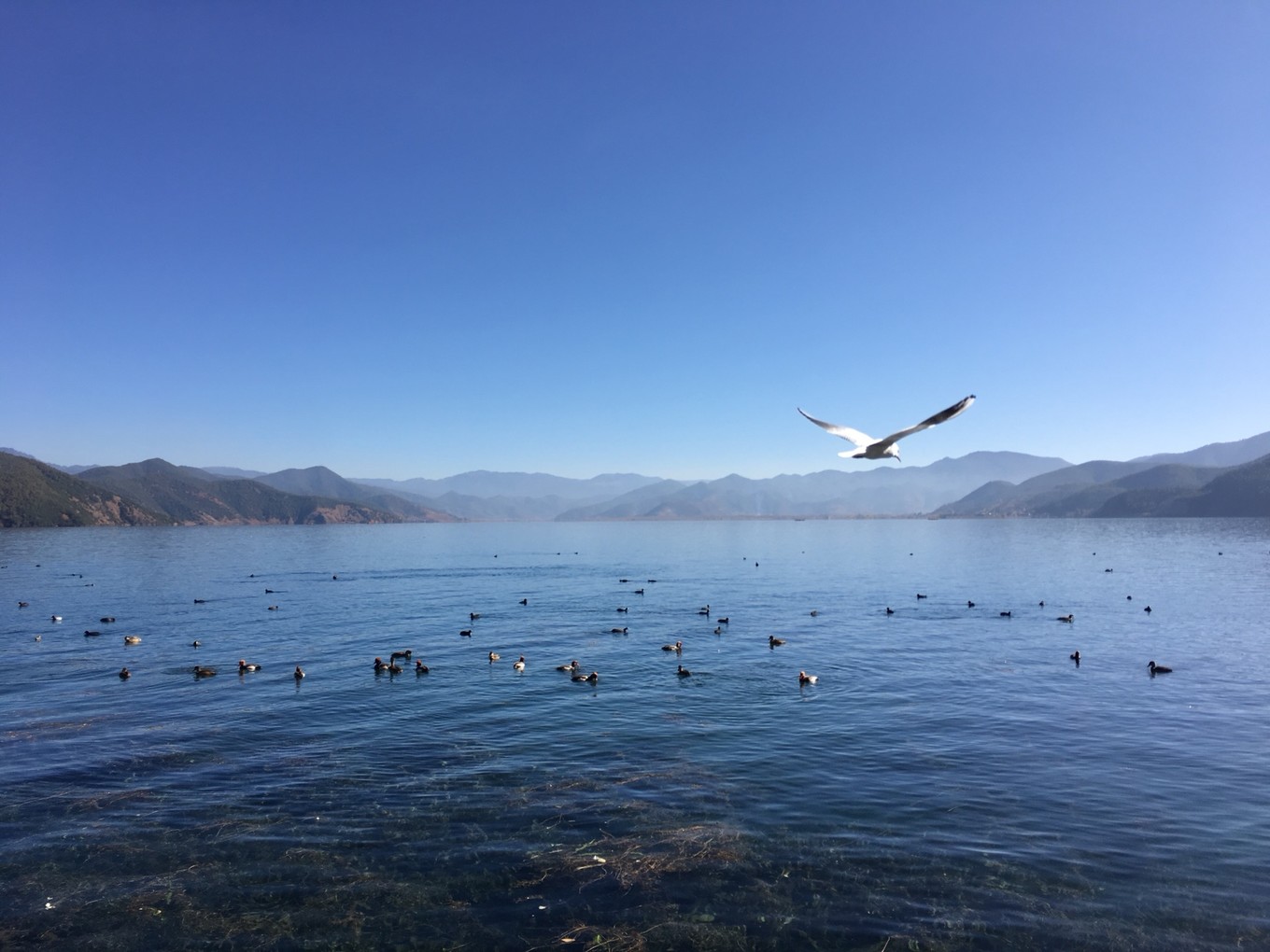 云南6日5晚自由行,云南六天五晚自由行