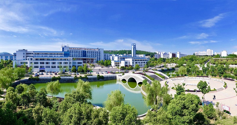 湖北武汉职业技术学院排行榜,武汉职业技术学院2020省排名