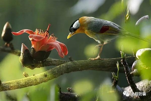 人为什么会受骗,为什么有人特别容易上当