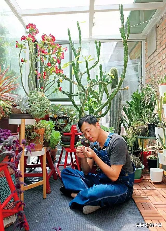 水哥都上过哪一期最强大脑,水哥最强大脑最新的表现