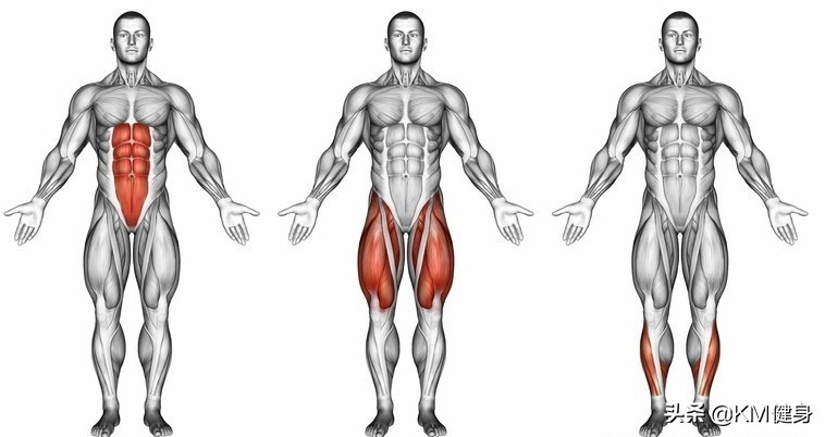 杠铃卧推左肩膀痛怎么恢复,杠铃卧推肩部疼需要继续练吗