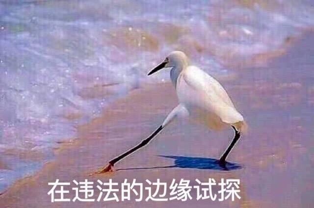 正式上线的电商法,电商法关于退款不退货