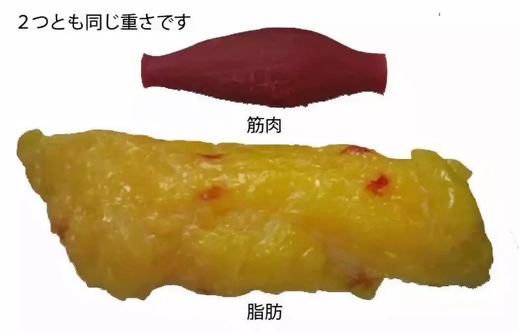 想除掉脂肪粒,想要彻底减肥