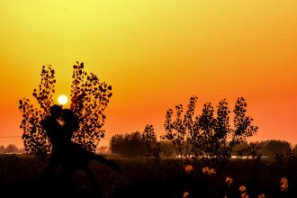 世界变了我们怎么办,这个世界已经变了不再适合我们