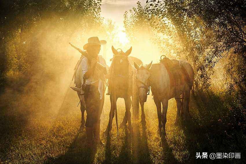 摄影如何打光消除阴影,摄影如何避免灯光光晕