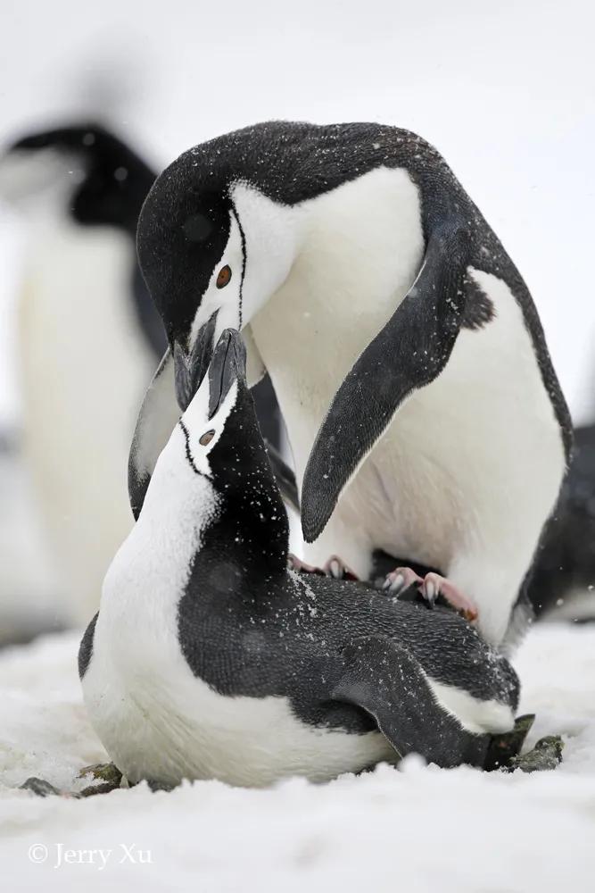 情人节,就该和爱的人*爱做**做的事