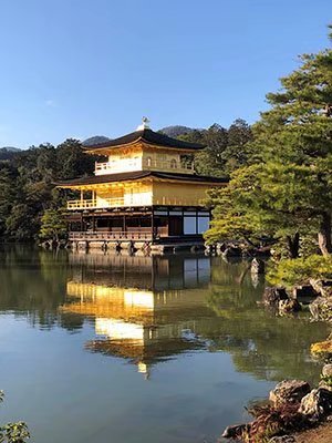 2020鏃ユ湰澶ч槳,澶ч槳浜兘濂堣壇鍏ぉ瀹夋帓