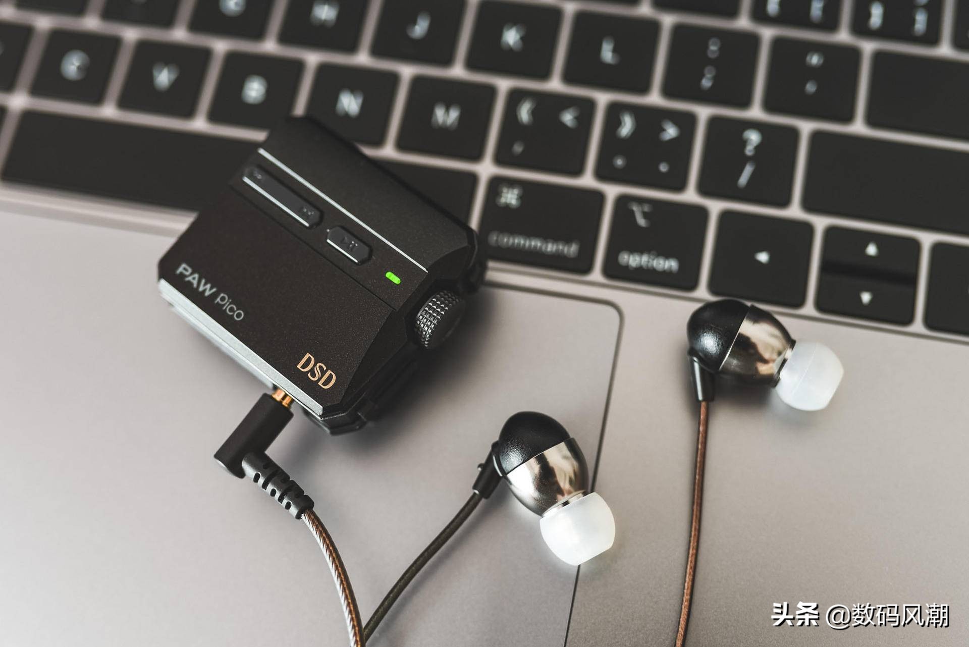 好听还不贵，茶乐音人Co-Dongur直接给我一步到位了