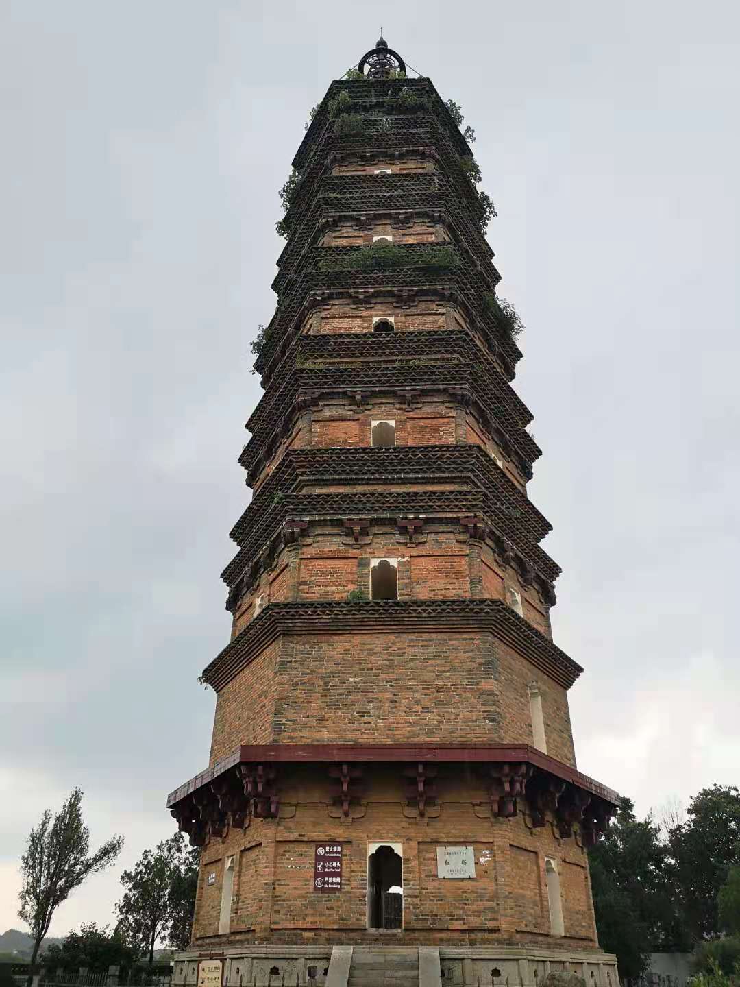 景德镇玲珑瓷哪里买,景德镇青花玲珑瓷茶壶