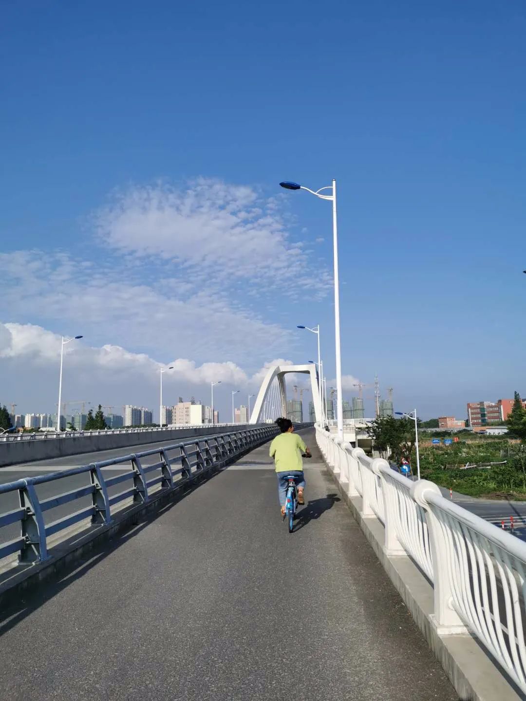 如何读书？读书一万不如一网