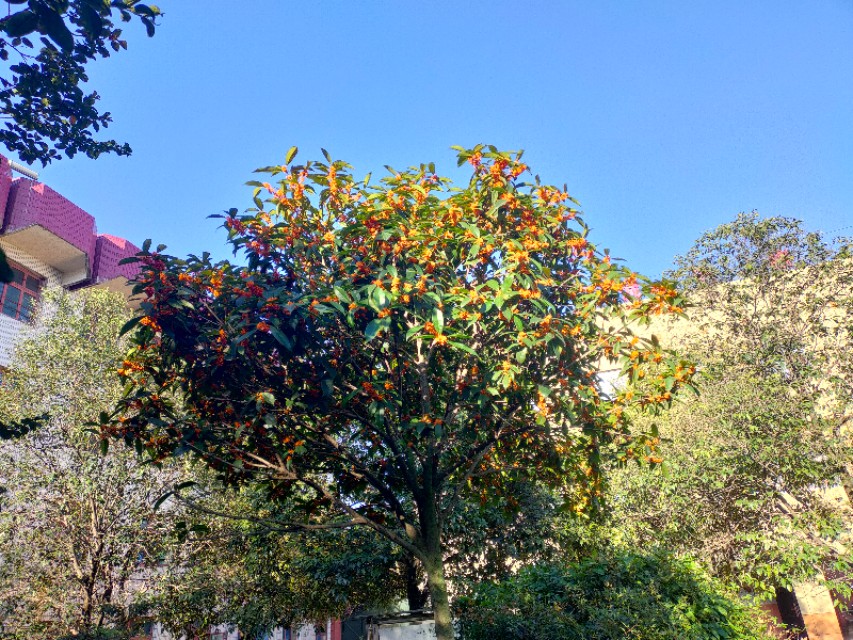 长杨中学官网,长杨中学