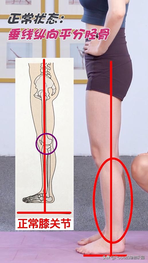 想练腿有什么方法,练长腿瘦腿