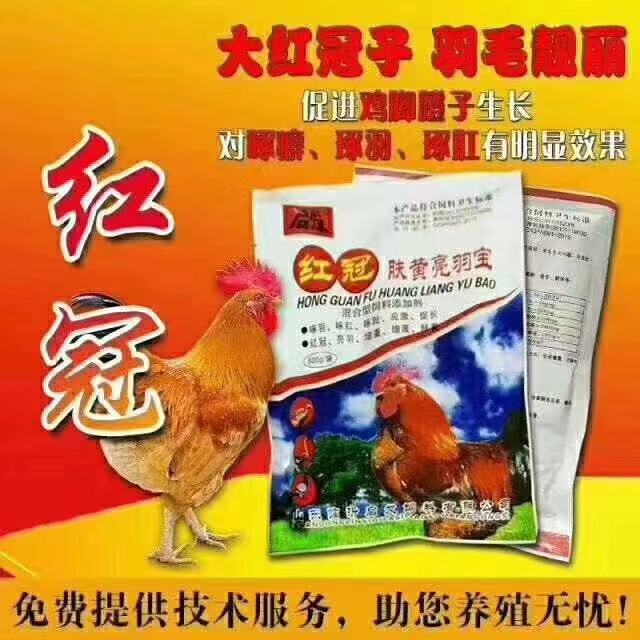 鸡群肠道菌群,鸡群饮水免疫注意啥